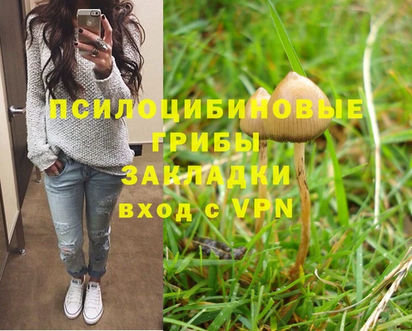 PSILOCYBIN Абинск