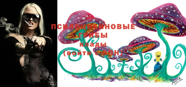 герыч Абаза
