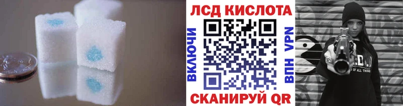магазин продажи наркотиков  Судогда  Лсд 25 экстази кислота 