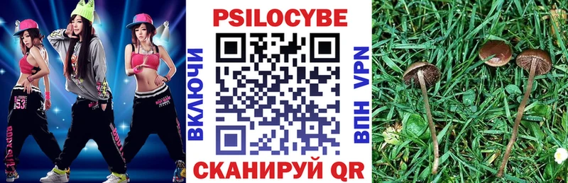 магазин продажи наркотиков Судогда Галлюциногенные грибы MAGIC MUSHROOMS